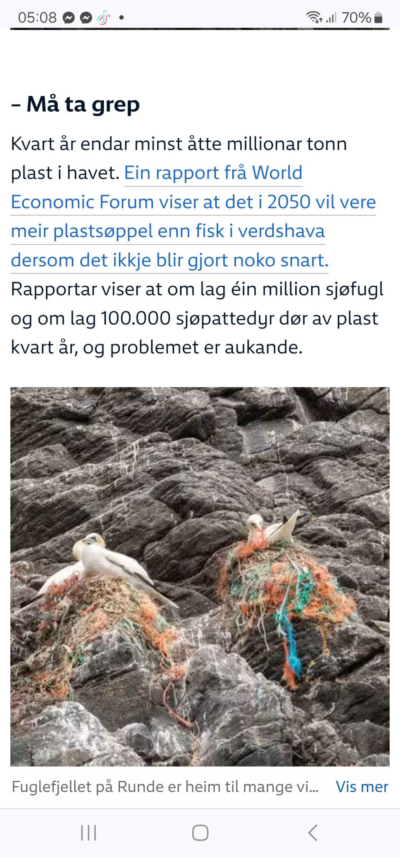 MÅKENE BYGGER REDE FOR 400 ÅR
