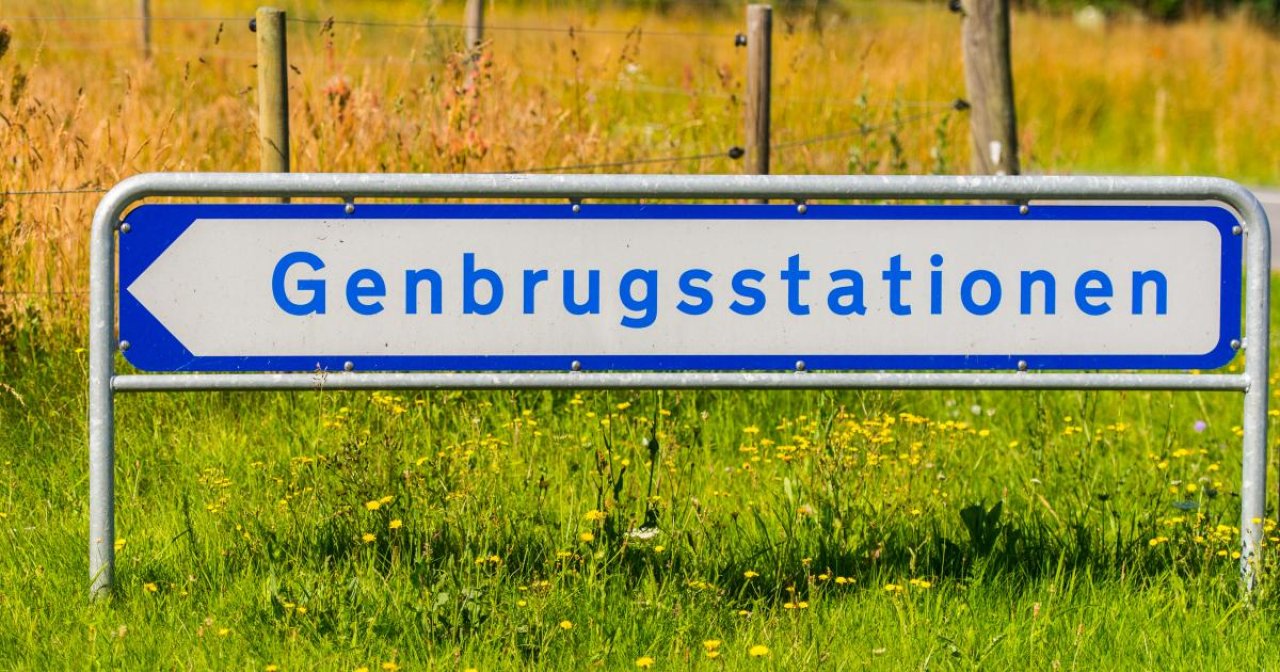 SPOTTERE ELLER GENBRUGSKONSULENTER